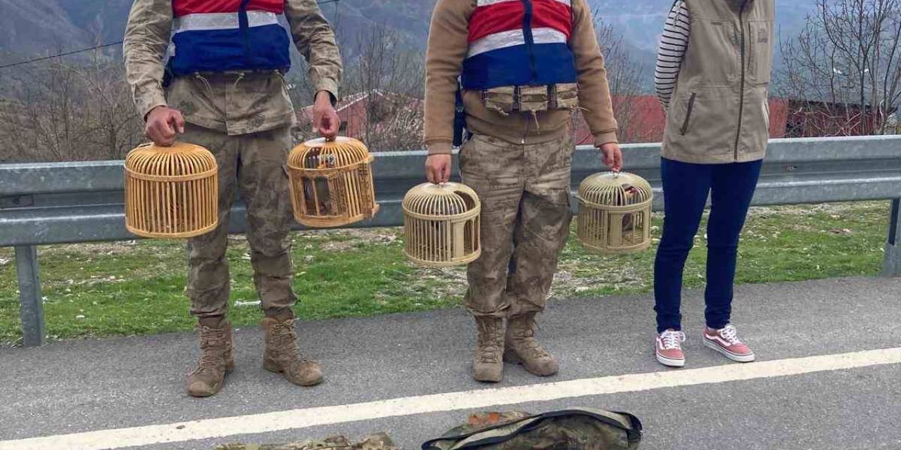 Bitlis’te Keklik Avcılarına 34 Bin Lira Para Cezası