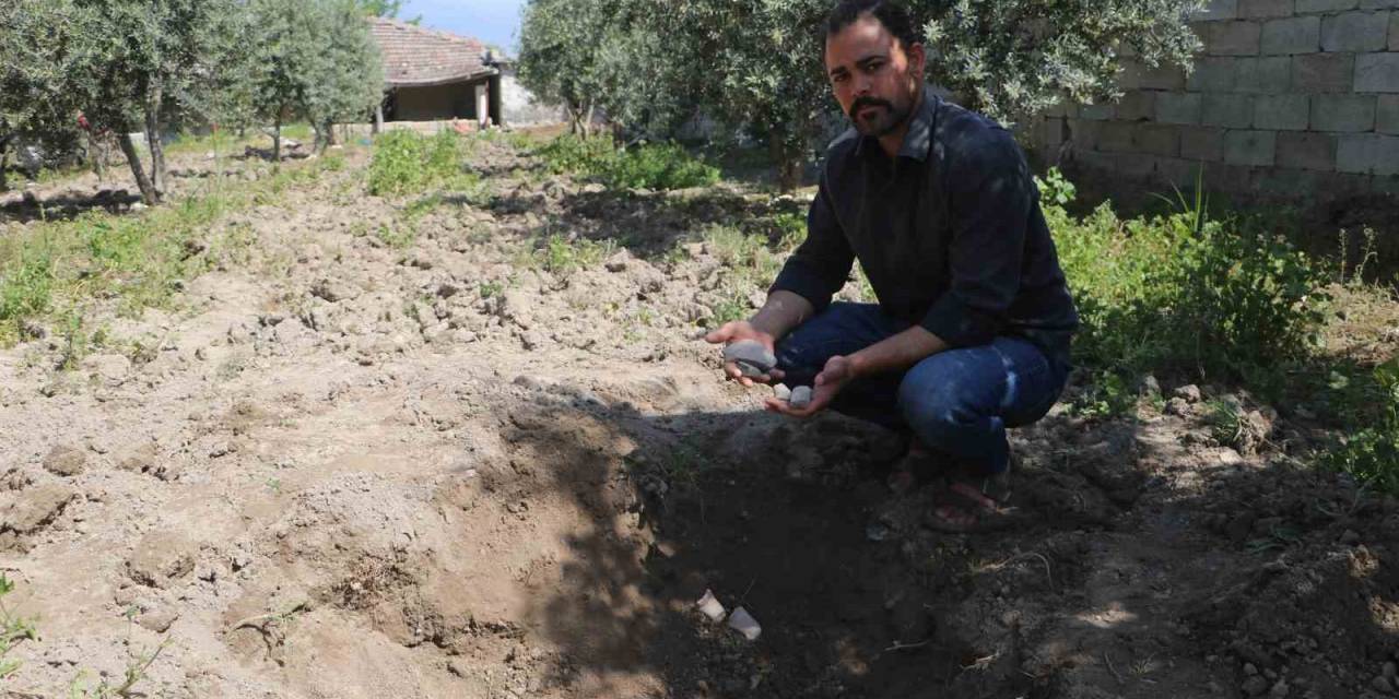 Bahçesini Çapalayan Çiftçinin Pulluğuna Takılan Küpten Bizans Dönemi Sikkeleri Çıktı