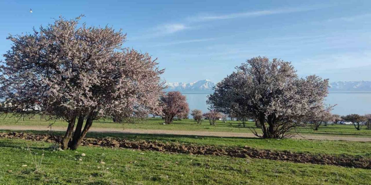 Van’da İki Mevsim Bir Arada