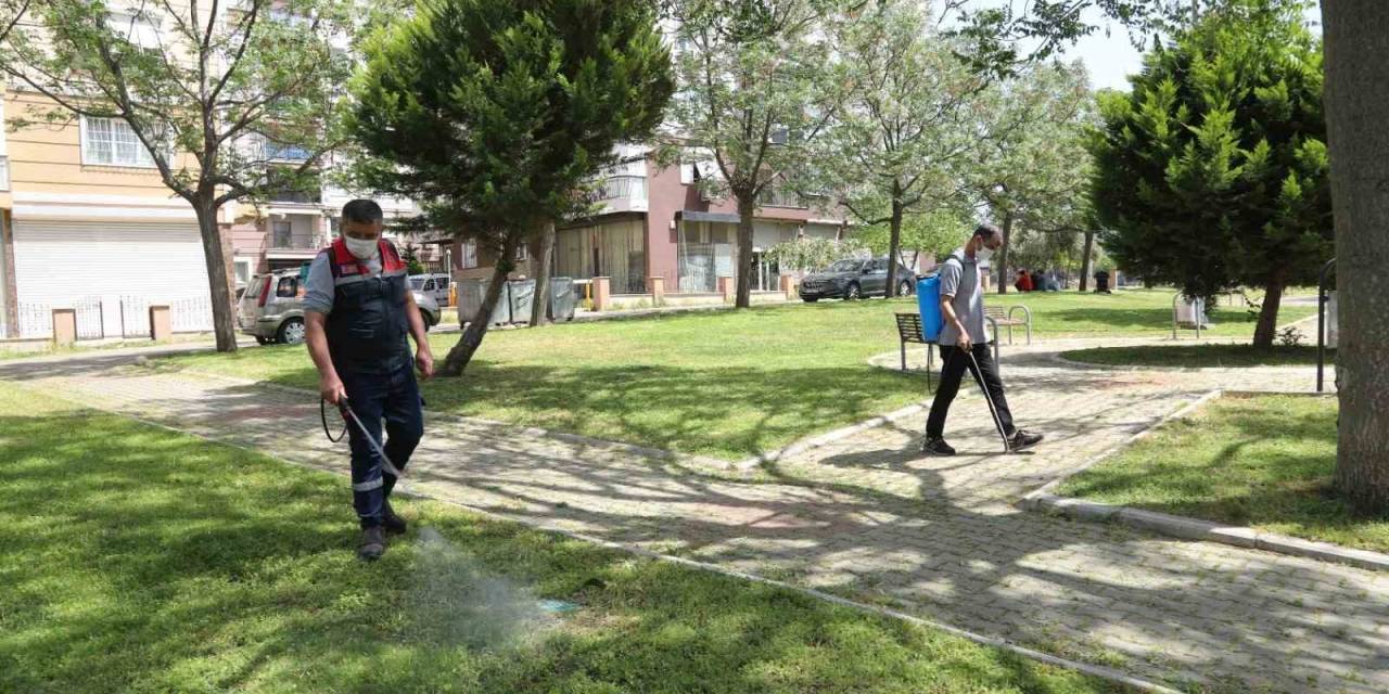 Bayraklı Park Ve Bahçelerinde İlaçlama Yapıldı