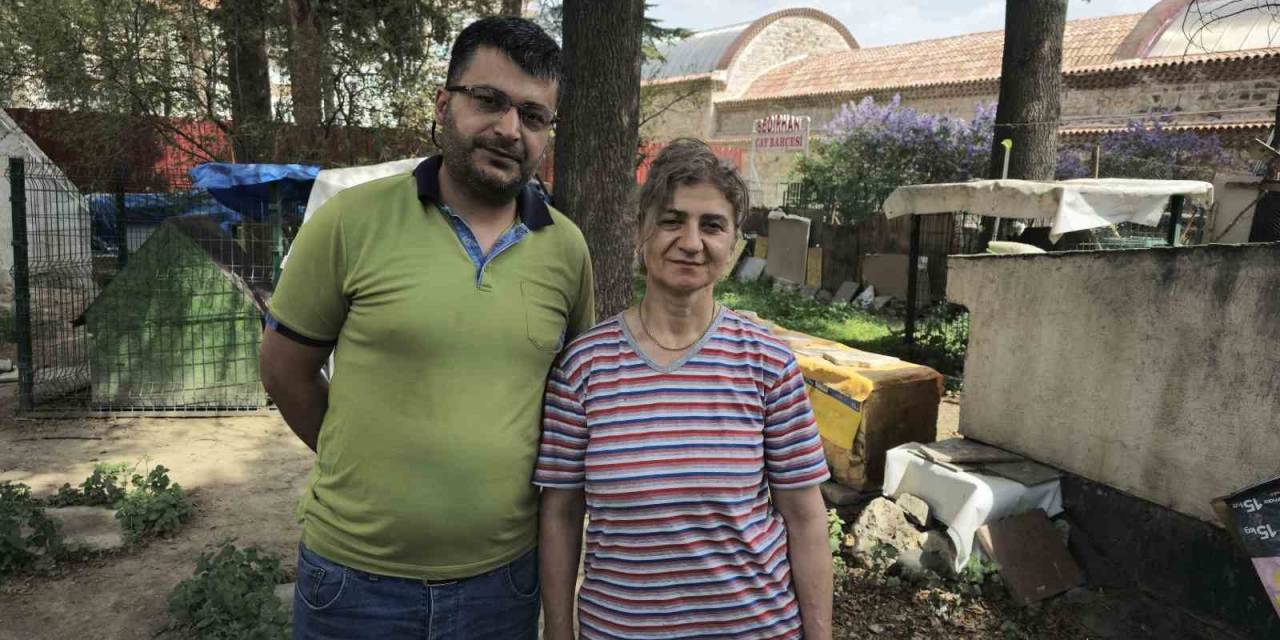 Tokat Polisi Mahsur Kalan Köpeği Kurtardı