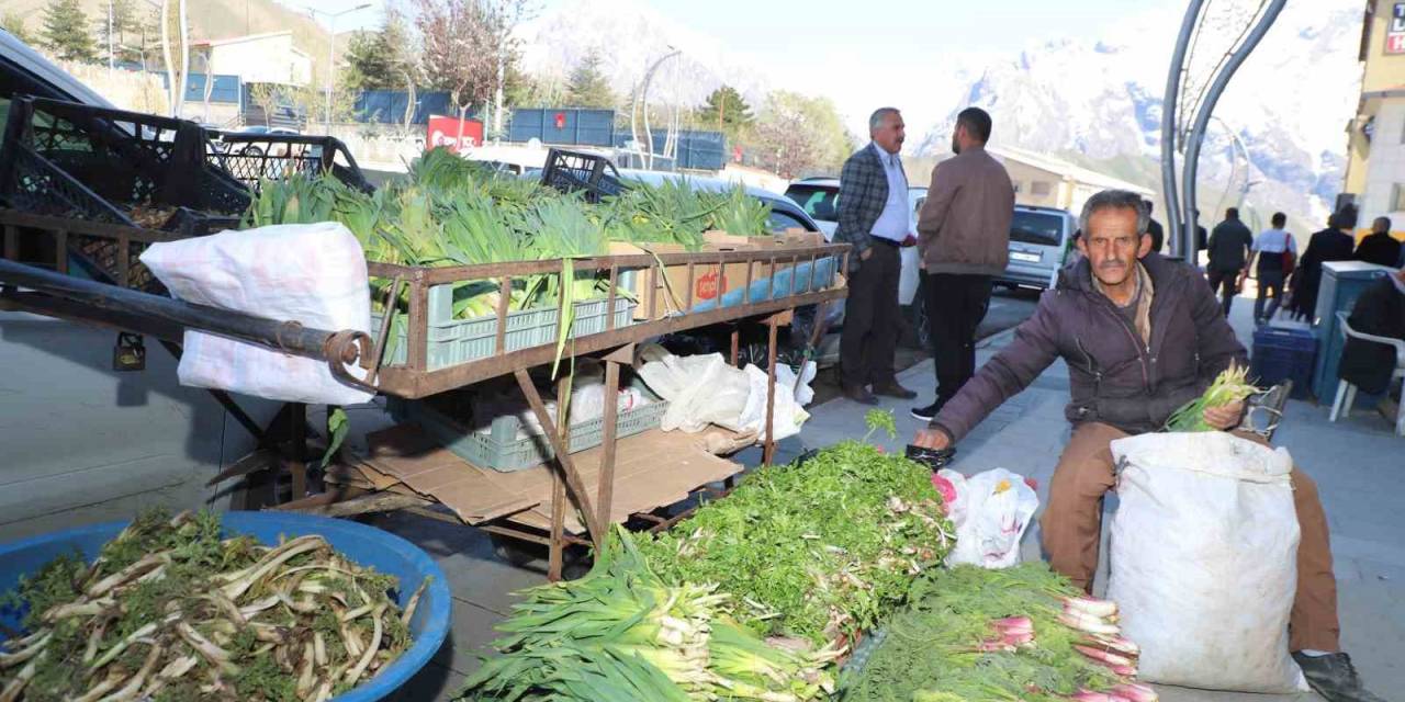 Hakkari’de Şifalı Bitkilere Büyük İlgi