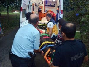 Ordu’da Pat Pat Kazası: İki Yaralı