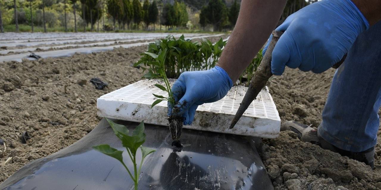 Adabahçe’de Yaz Sezonu Hazırlıkları Başladı