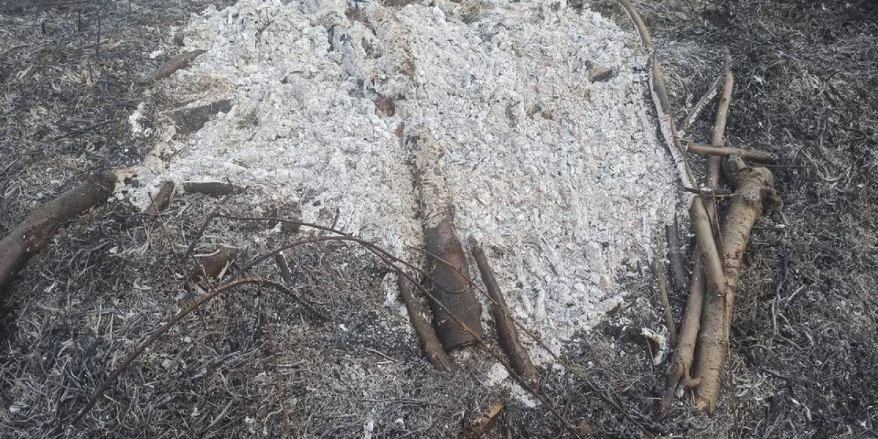 Küçük Bir Dikkatsizlik Sonucu Çıkan Orman Yangını Korkuttu