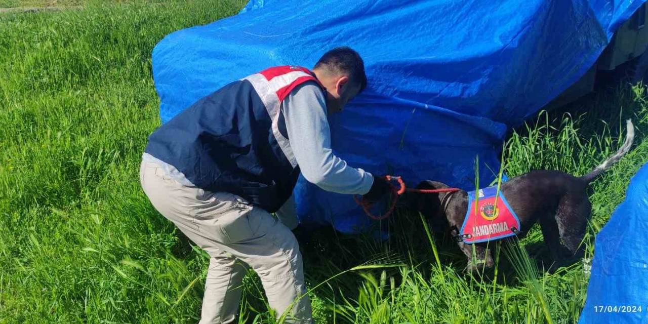 Siverek’te Çok Sayıda Silah Ve Mühimmatı Ele Geçirildi