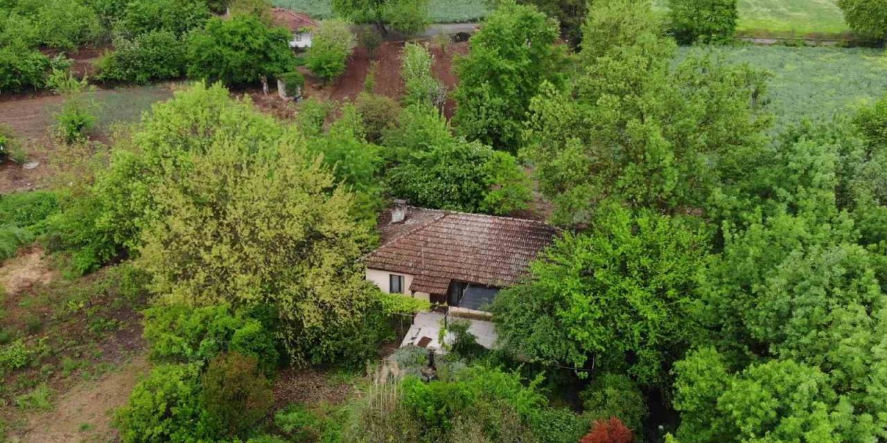 ’berzeg Sendromu’ Mahalleyi Boşalttı