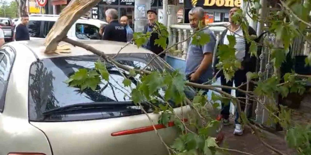 Şiddetli Rüzgara Dayanamayan Ağaç Otomobilin Üzerine Düştü