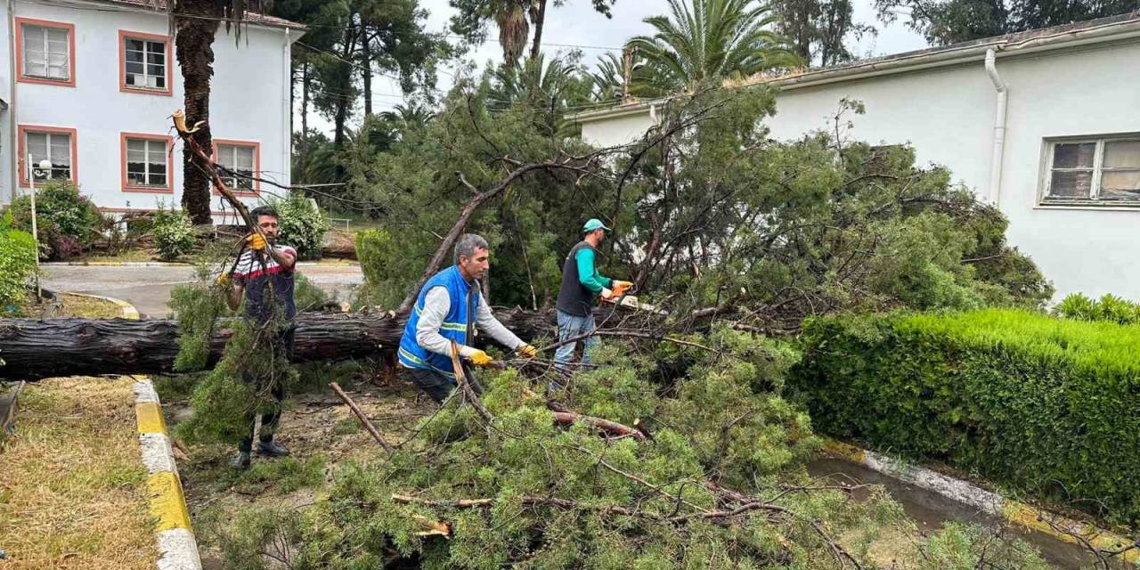 Nazilli Belediyesi’nden Eş Zamanlı Müdahale