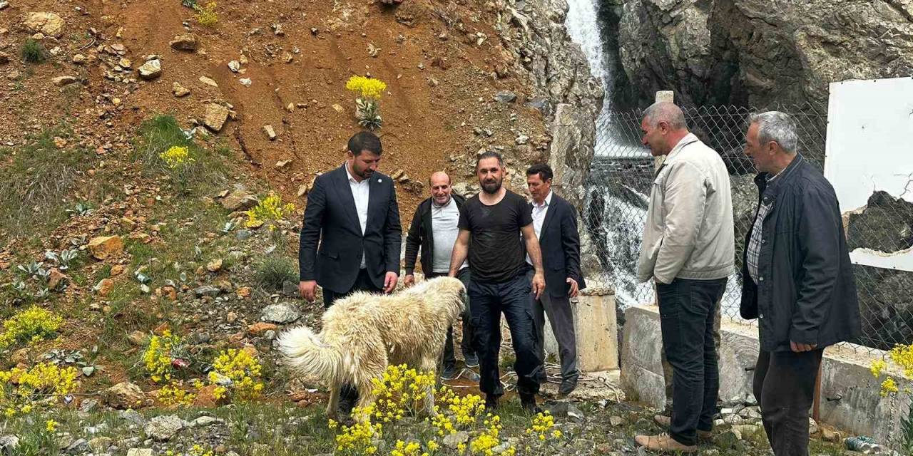 İhbar Kendisine Geldi, Belediye Başkanı Köpek Kurtarma Operasyonuna Katıldı