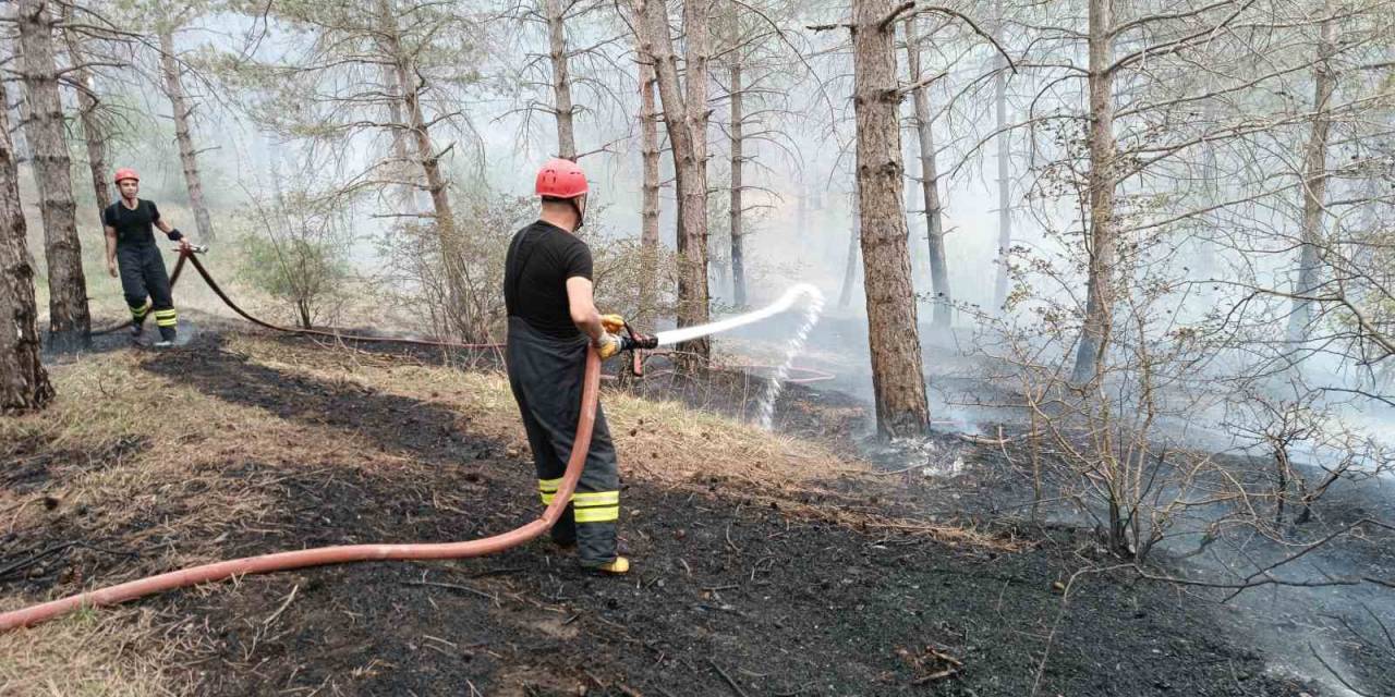 Havza Kılavuz Ormanı’nda Korkutan Yangın