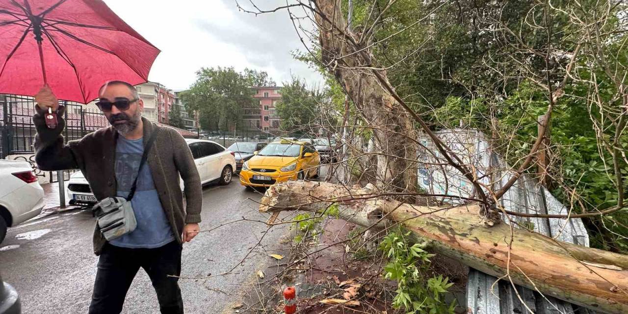 Başkentte Şiddetli Rüzgar Ağaçları Devirdi
