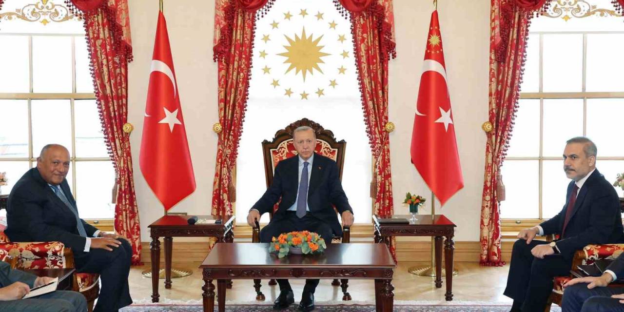 Cumhurbaşkanı Erdoğan, Mısır Dışişleri Bakanı Şukri’yi Kabul Etti