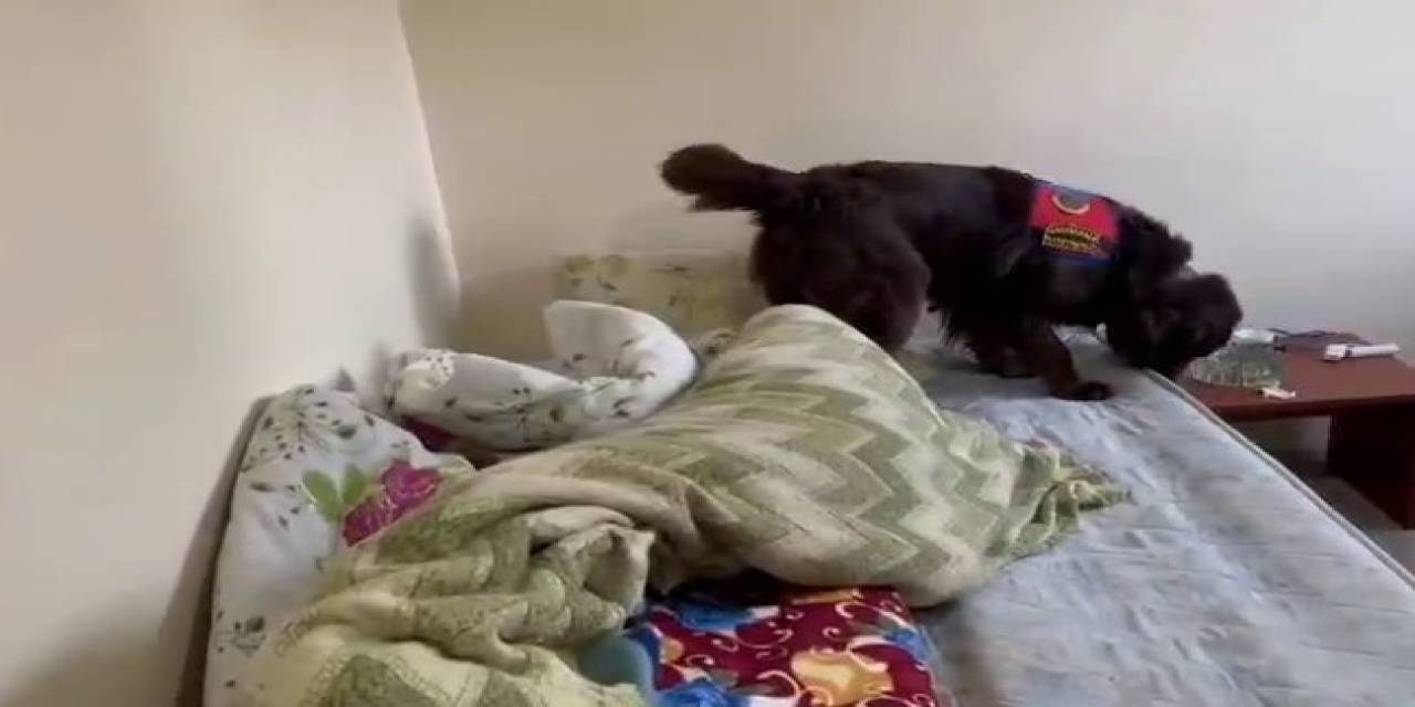 Jandarmadan Uyuşturucu Operasyonu