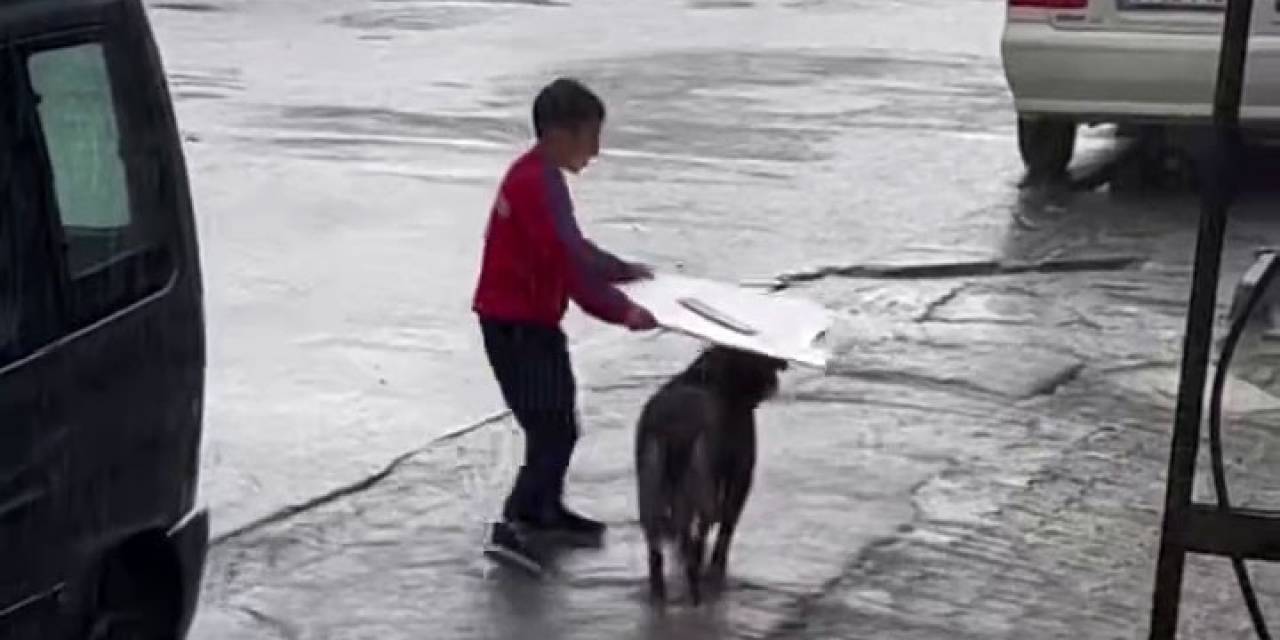 Küçük Çocuktan Yağmur Altında İnsanlık Dersi