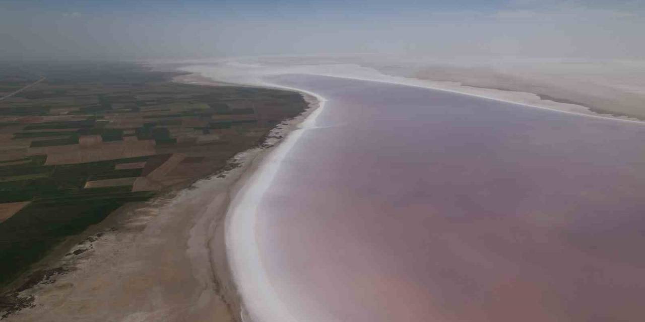 Tuz Gölü Pembeleşmeye Başladı, Turistler Akın Etti