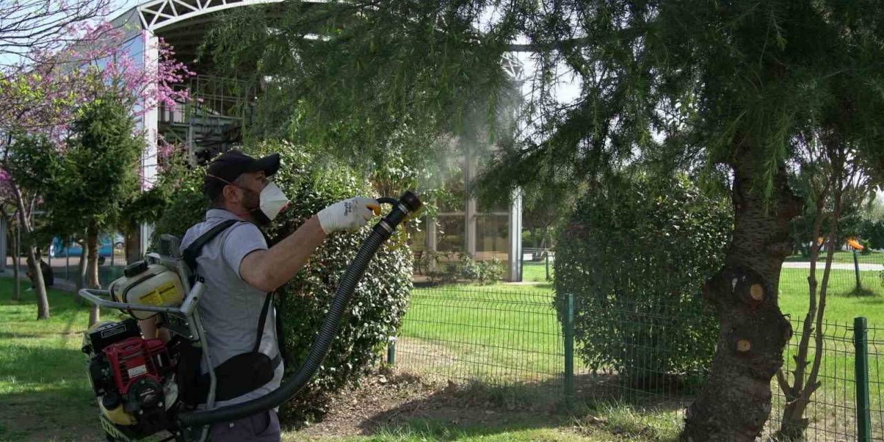 Samsun’da 25 Bin Noktada Vektörle Mücadele