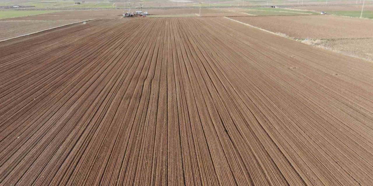 Dubai’ye Gönderilmek Üzere Sivas’ta Toprakla Buluşturuldular