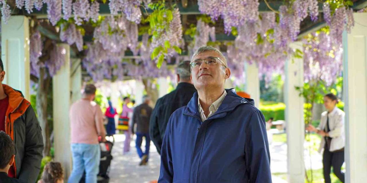 Mor Salkımlar Başkent’e Renk Kattı