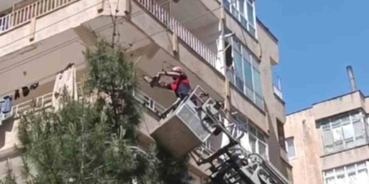 Ağaçta Mahsur Kalan Güvercin Kurtarıldı