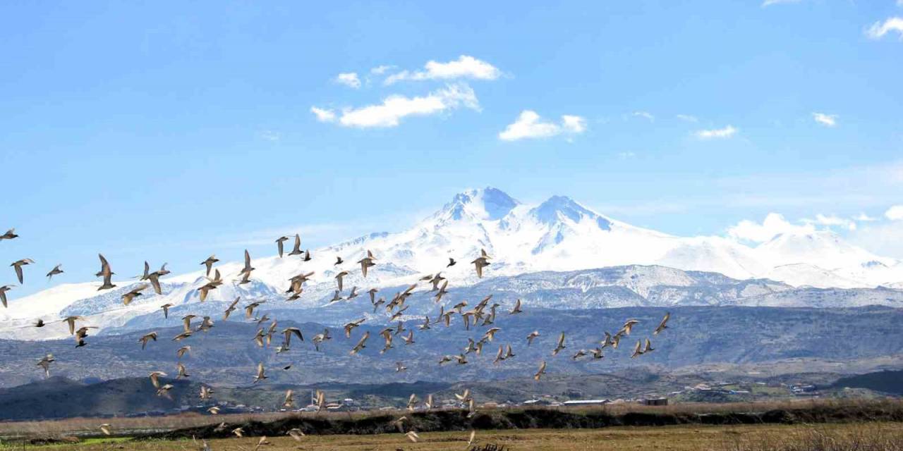 Kayseri’nin Doğal Kuş Cenneti Baharı Müjdeliyor