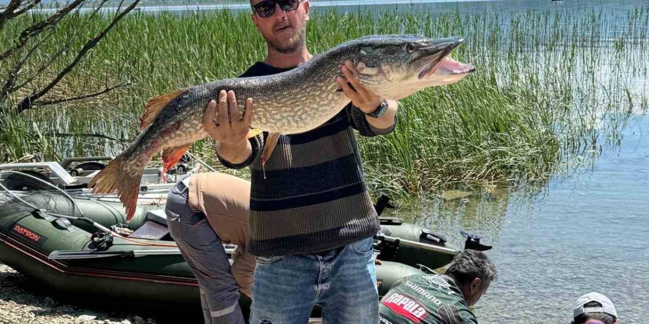 Dev Balığı Yakalayınca Deliye Döndüler: “Kocaman, Bu Canavar”