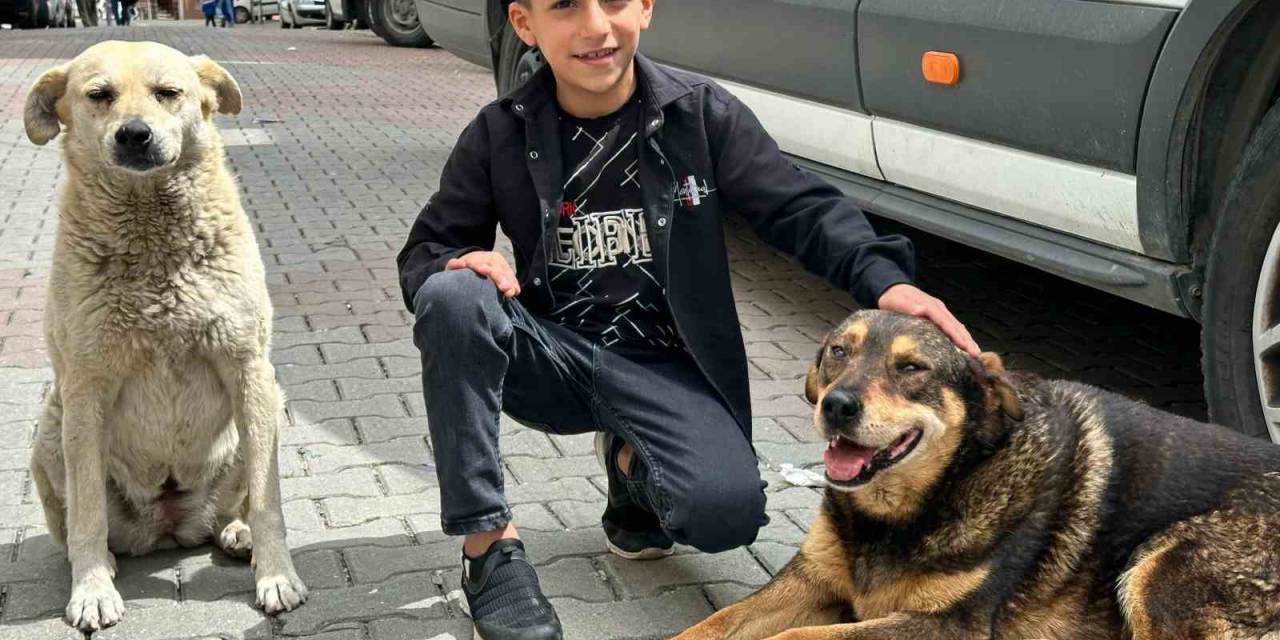 Yağmurda Köpeği Islamaktan Koruyan Ayaz O Anları Anlattı