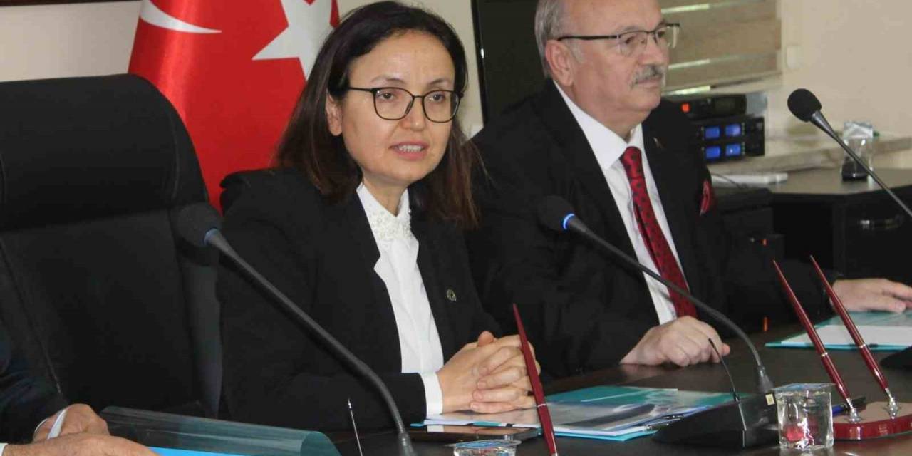 Vali Kaya, “Hastane Yolu Yaz Ayları Başlamadan Bitirilsin İstiyoruz”