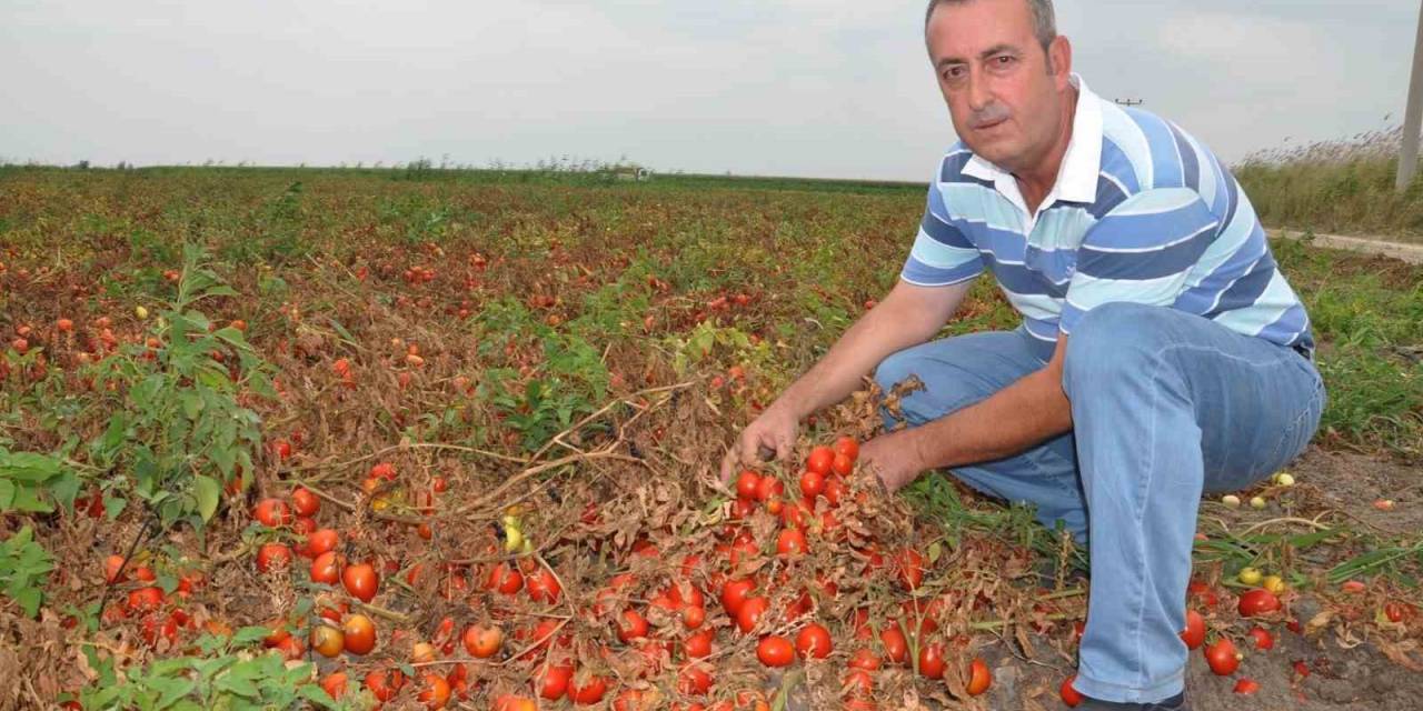 Başkan Erdem: “Salça İhracatının Önü Açılmalı”
