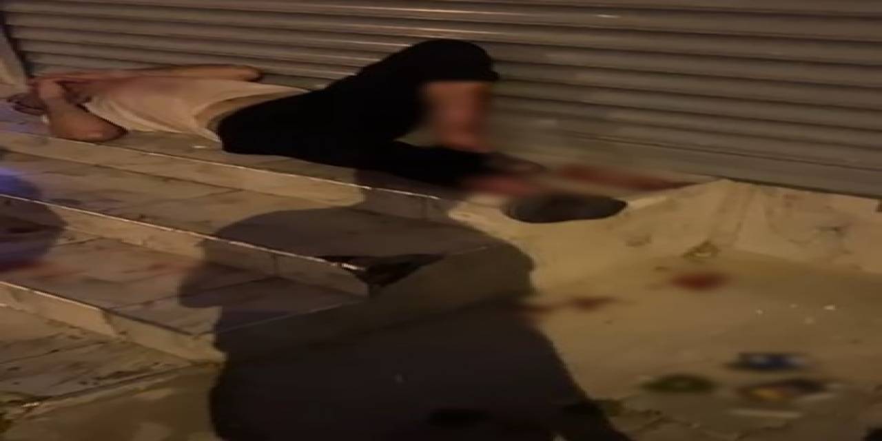 Pitbull Silahla Bile Durdurulamamış