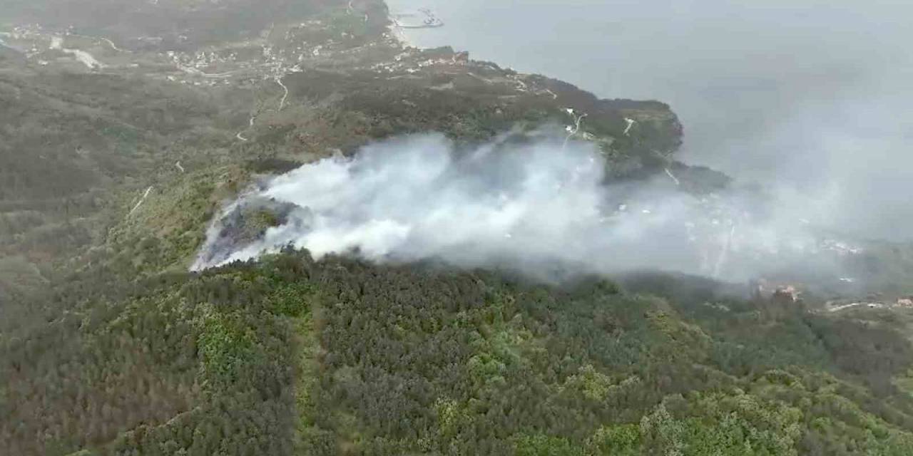 Kastamonu’da Orman Yangını: Ekiplerin Müdahalesi Sürüyor