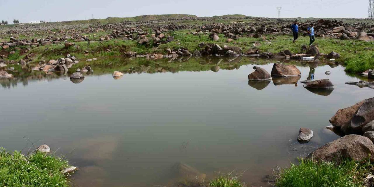 Siverek’te Gölete Giren Çocuklar Boğulma Tehlikesi Geçirdi