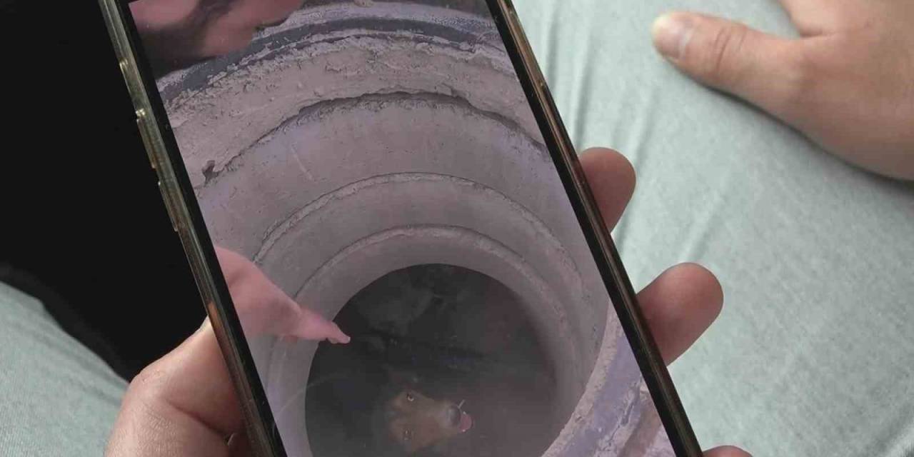 Rögara Düşen Köpeği Böyle Kurtardı...o Anları Anlattı