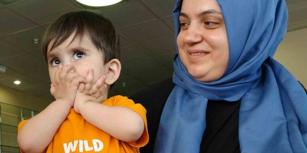 Mehmet Ali Bebeğin Umudu Yeşerdi: 60 Milyon Tl Toplandı