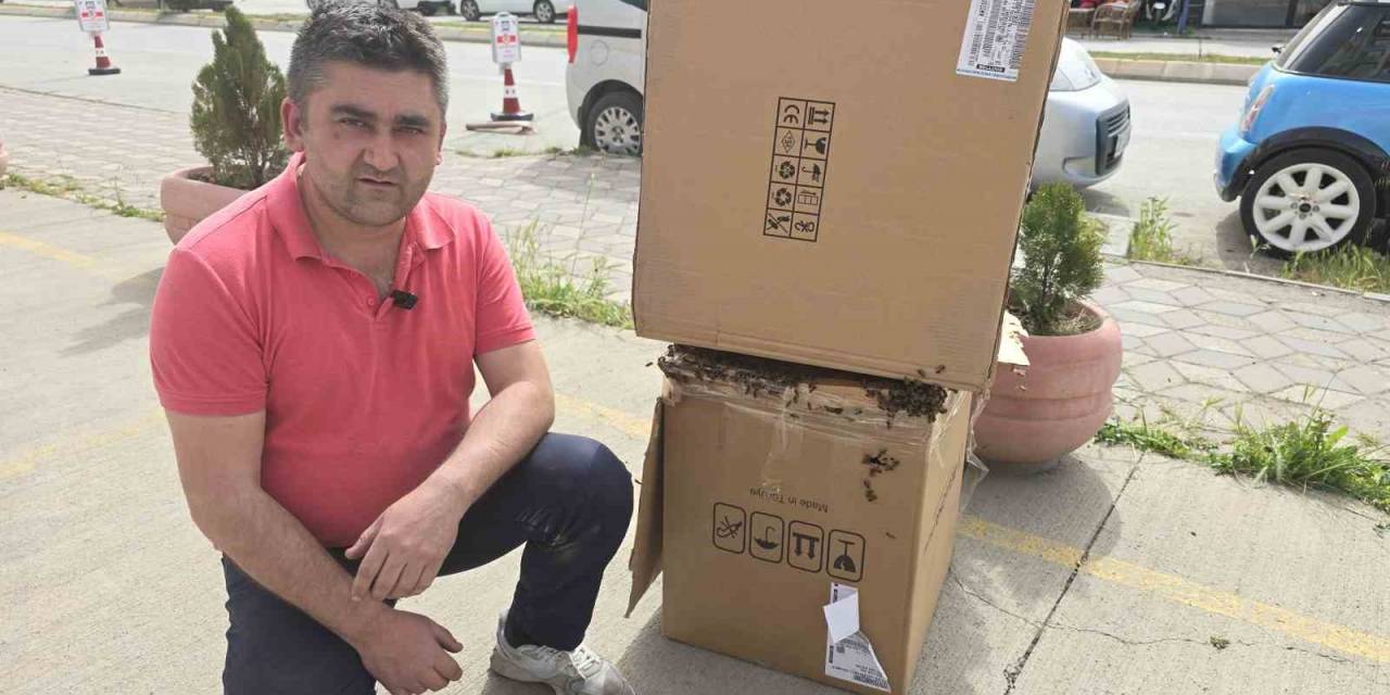 Toz Bulutu Sandılar, Gerçek Sonra Anlaşıldı