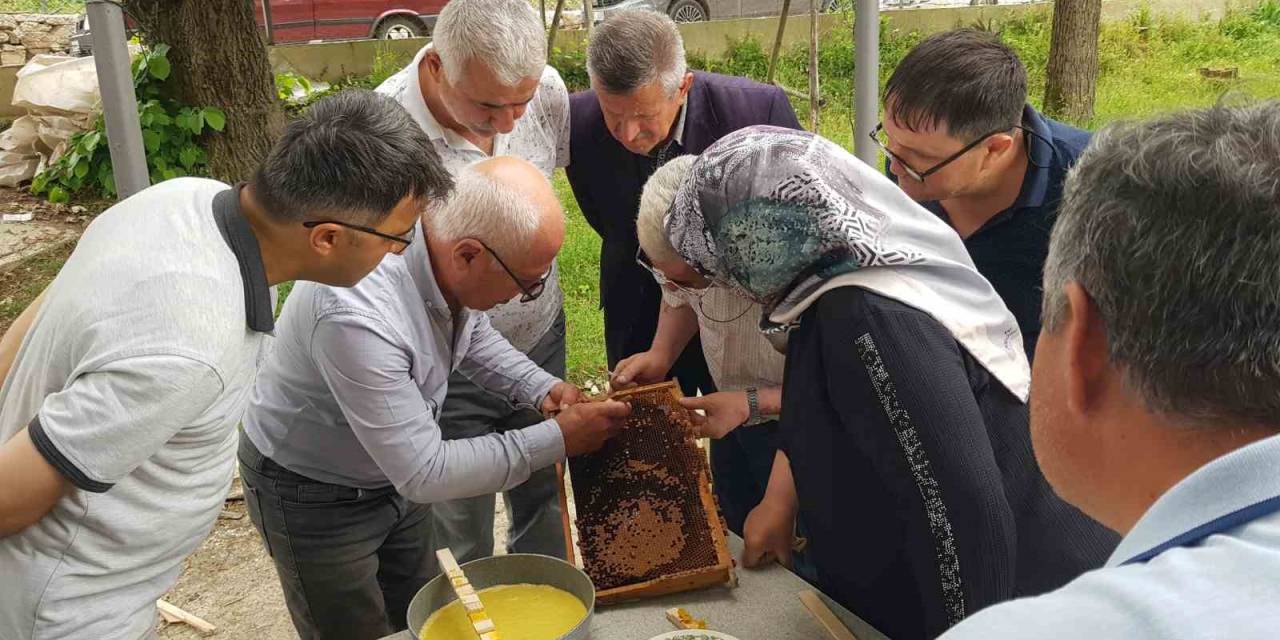Karabük’te Üreticiler Ana Arı Yetiştirmenin Püf Noktalarını Öğrendi