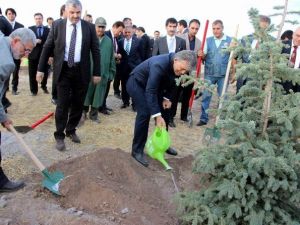 11. Cumhurbaşkanı Abdullah Gül Hatıra Ormanına Ağaç Dikti