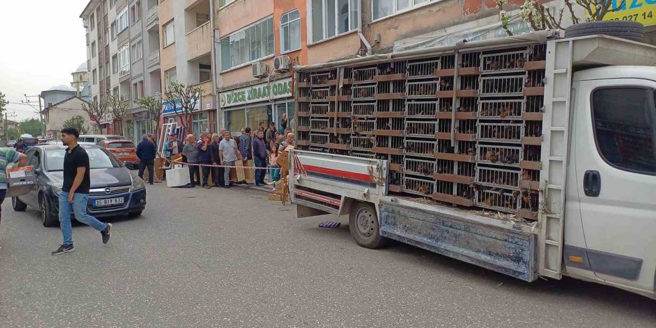 Kuyruğun Sebebini Duyan Şaştı Kaldı