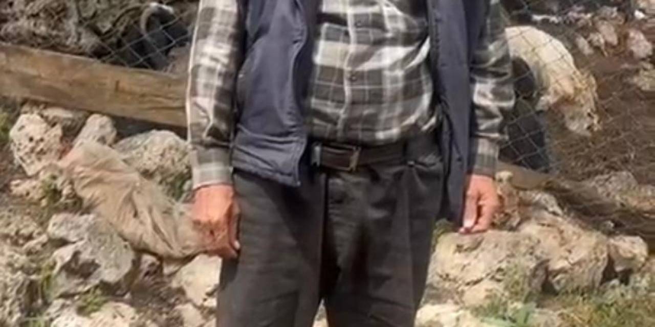 Isparta’da Kurtlar Çobana Dehşeti Yaşattı Bir Keçiyi Telef Etti