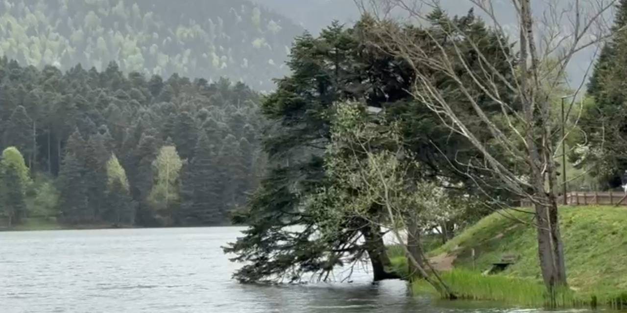 Bolu’da Şiddetli Rüzgar Etkili Oluyor