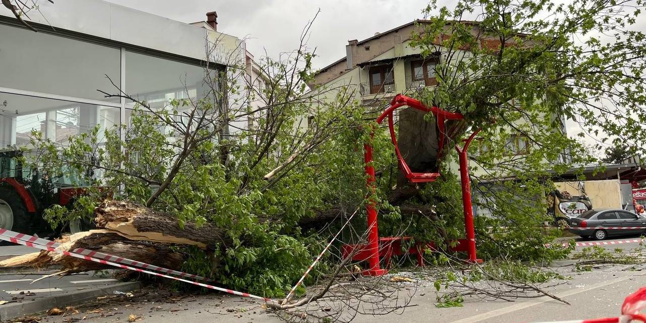 Otobüs Durağına Ağaç Devrildi