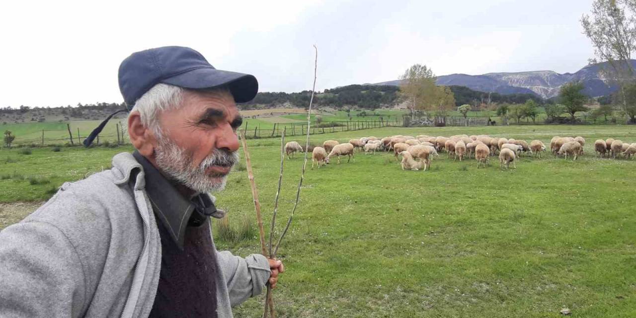 Havaların Isınmasıyla Küçükbaş Hayvanlar Meralara Çıkmaya Başladı