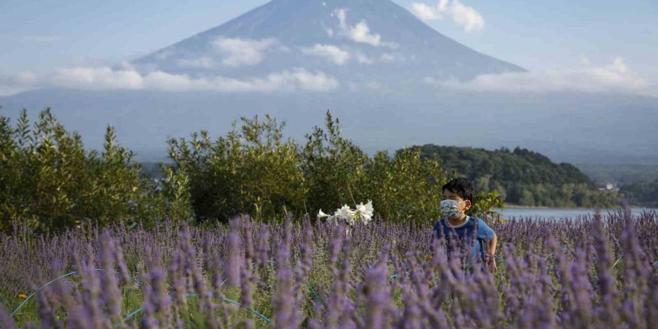 Fuji Dağı’na Turist Önlemi: Fotoğraf Noktalarına Bariyer Çekilecek