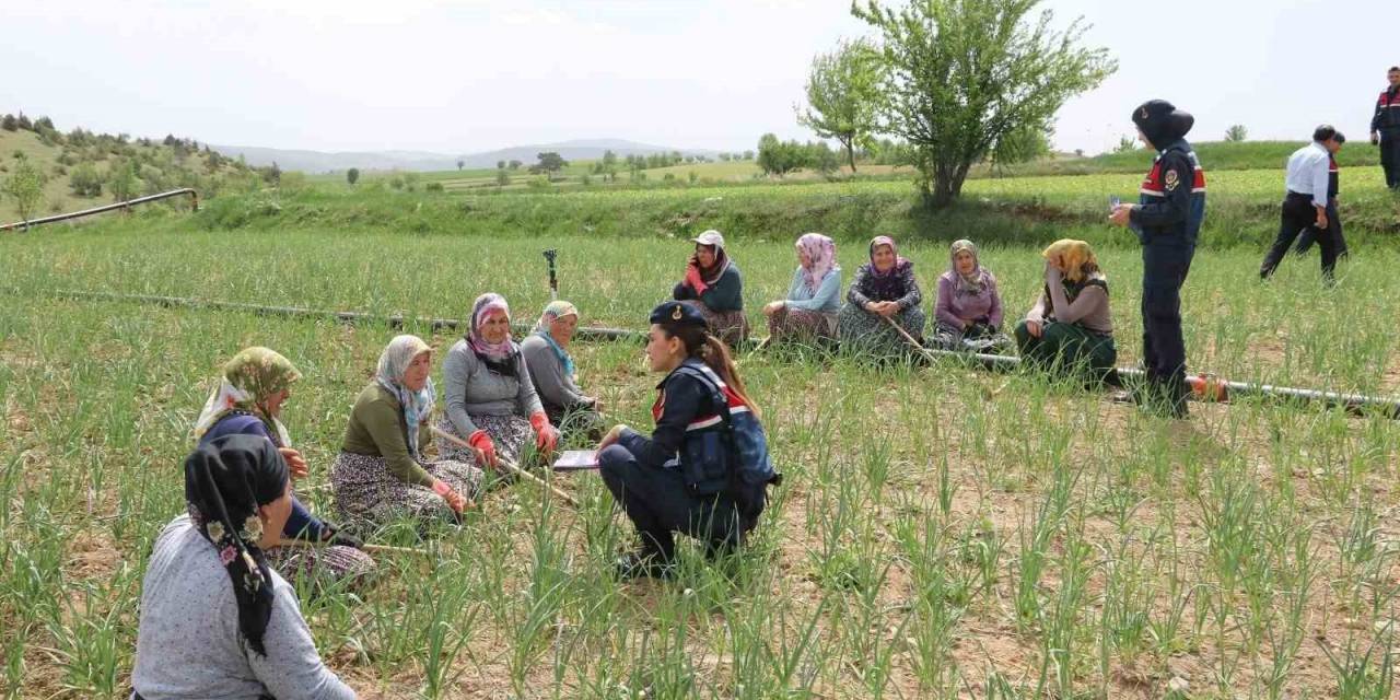 Sarımsak Tarlasında Kadınlara Kades’i Anlattılar