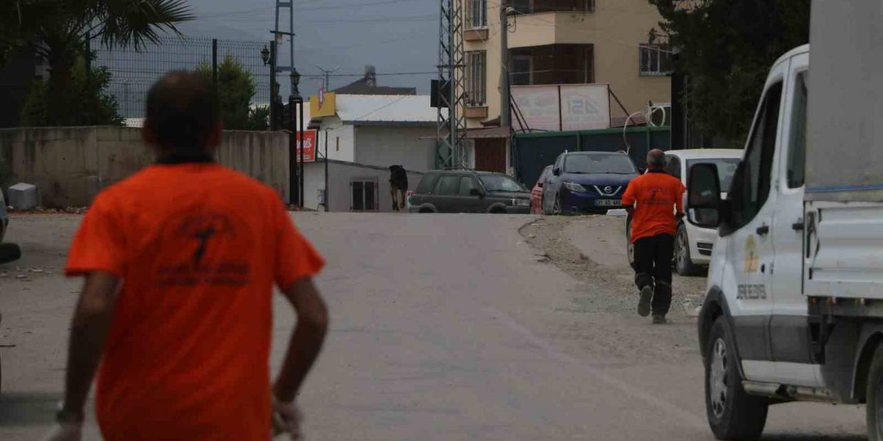 Kuduz Hastalığı Görülmesiyle Karantinaya Alınan Bölgede Sahipsiz Hayvanlarla Ekipler Arasında Yaşanan Kovalamaca Kamerada