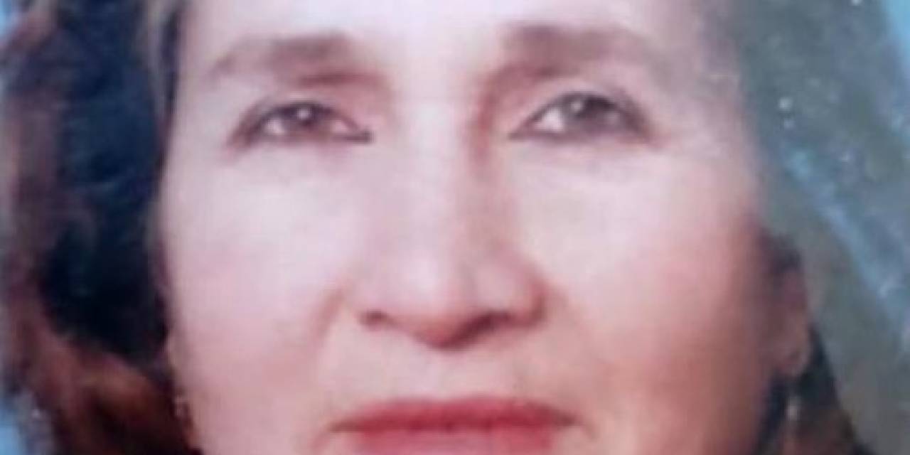 Dolmuşun Açık Bırakılan Kapısından Düşen Kadın Hayatını Kaybetti