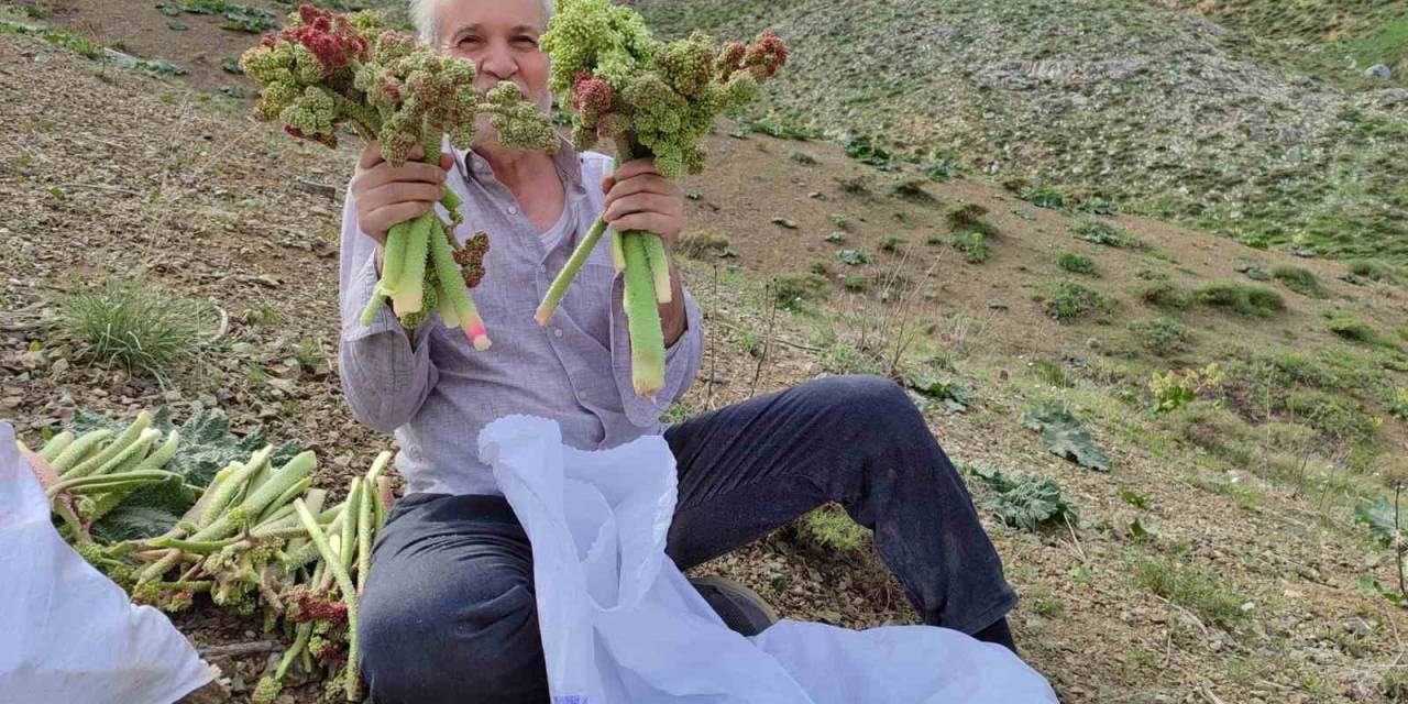 Adıyaman’da Işkın Toplamak İçin Türk Dağına Tırmandılar