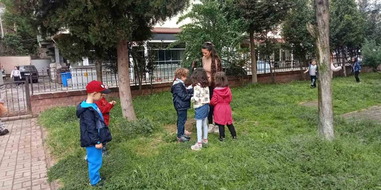 Minik Eller Büyük Hayaller İle Bilimsel Bitki Çizimi Yaptı