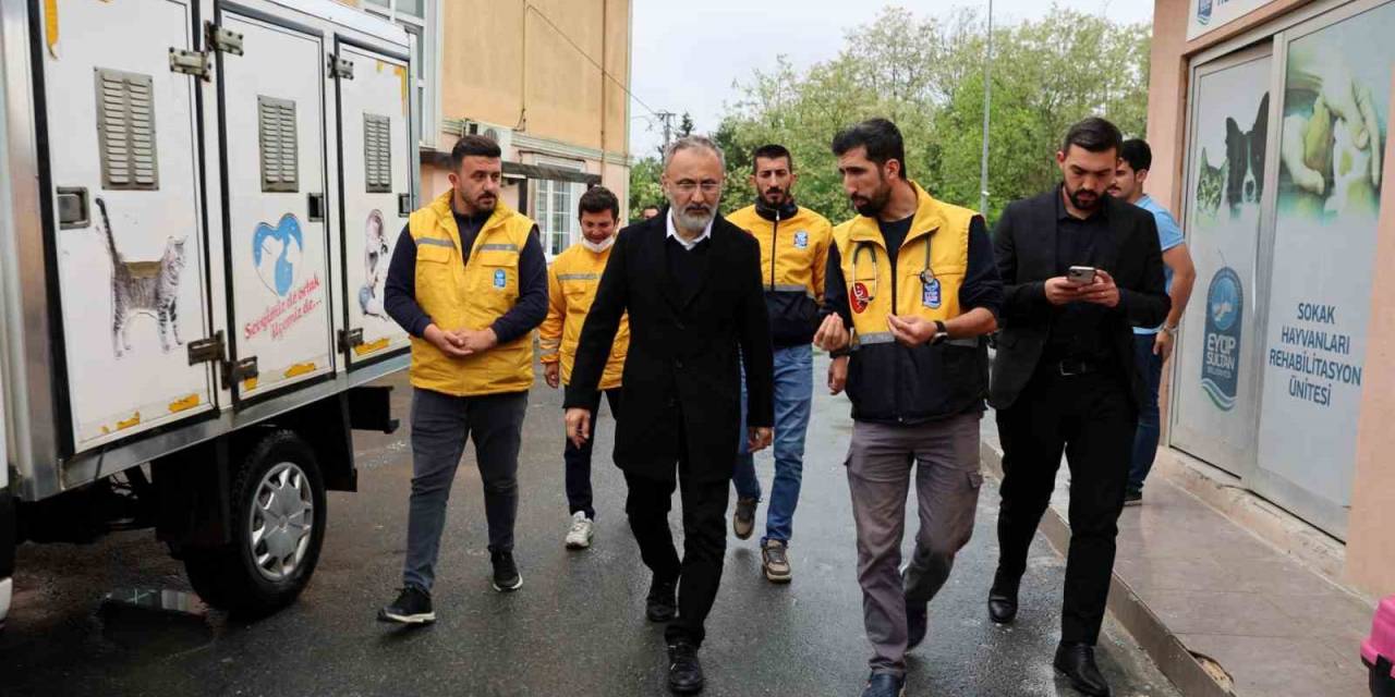 Eyüpsultan’da Sokak Hayvanlarına Yönelik Çalışmalar Sürdürülüyor