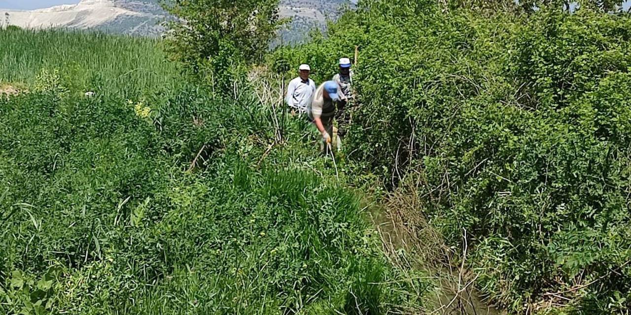 Hisarcık Hamamköy’de İmece Usulü Sulama Kanalı Temizliği